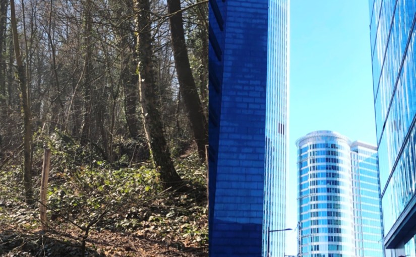 Cailloux sur le&nbsp;chemin