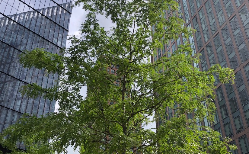 Billet new-yorkais #04