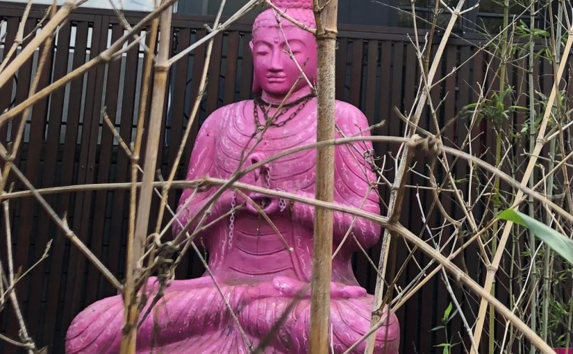 Pink Buddha