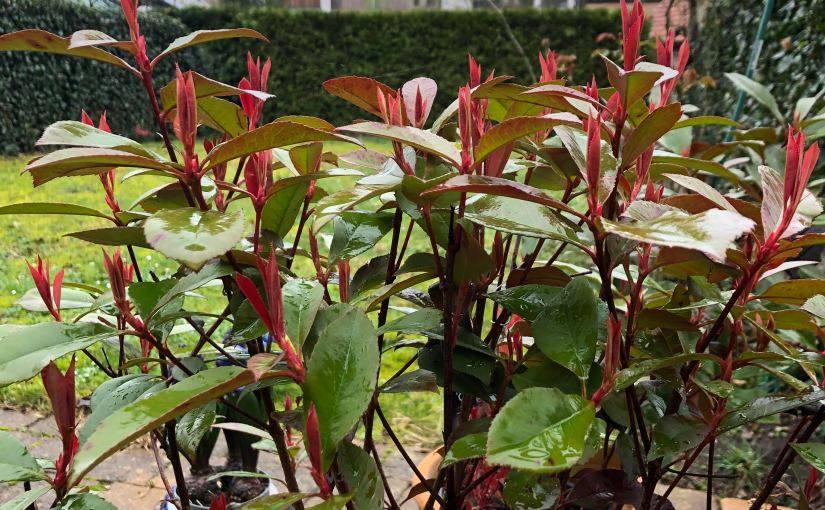 Rêver de l&rsquo;ailleurs